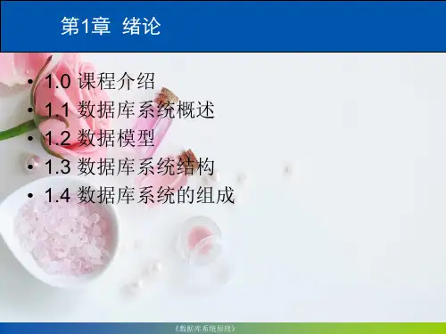 数据库系统原理-第1章-绪论