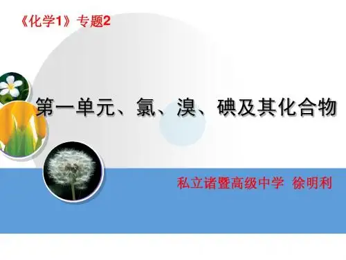 氯、溴、碘及其化合物(徐明利)