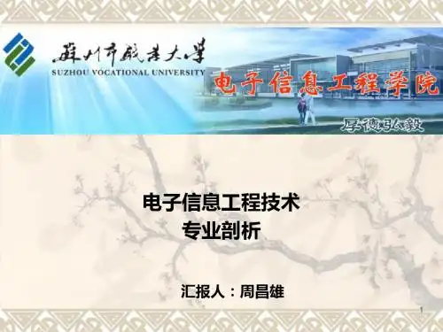 2007电子信息工程技术专业剖析
