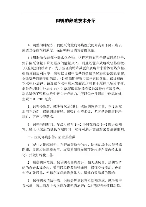 肉鸭的养殖技术介绍