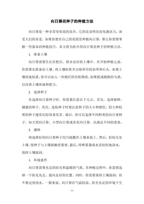 向日葵花种子的种植方法