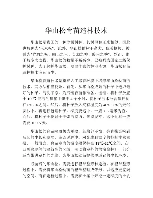 华山松育苗造林技术