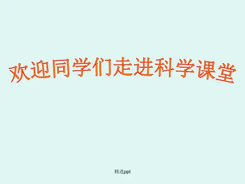 小学科学完整《身体的结构》ppt课件