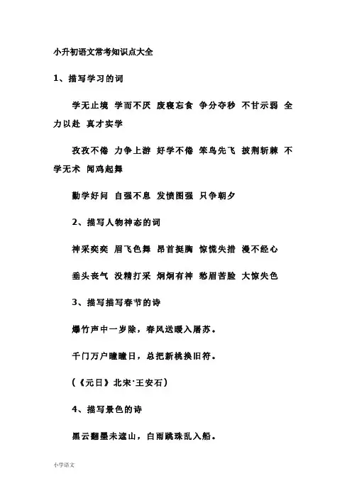 部编版小升初语文常考知识点大全