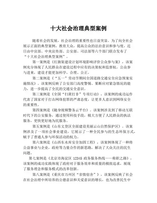 十大社会治理典型案例