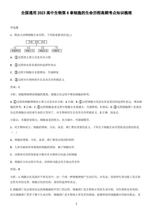 全国通用2023高中生物第6章细胞的生命历程高频考点知识梳理