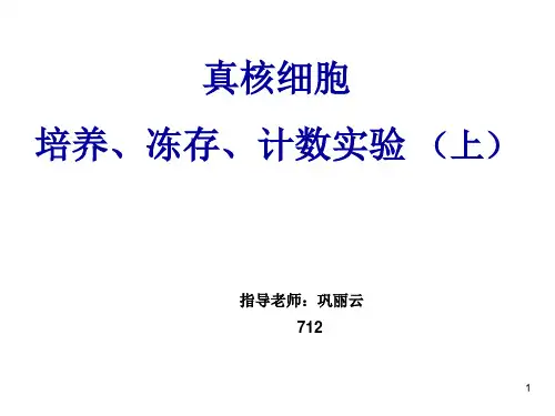 细胞培养实验