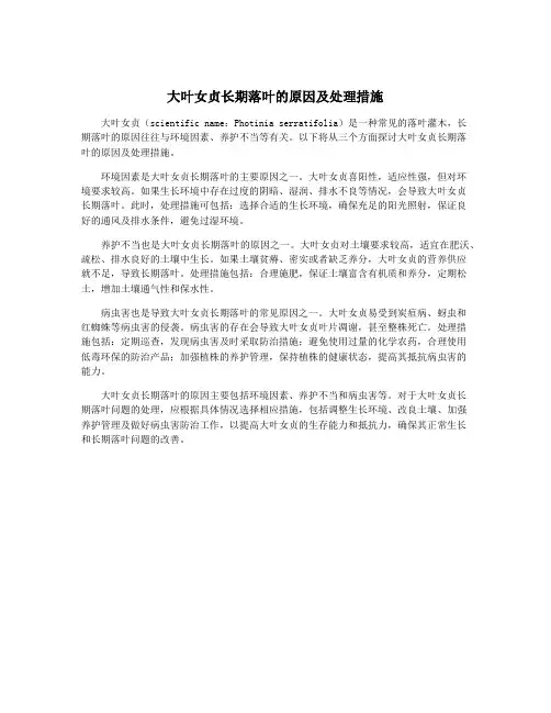 大叶女贞长期落叶的原因及处理措施