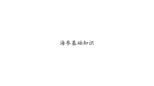 海参基础知识