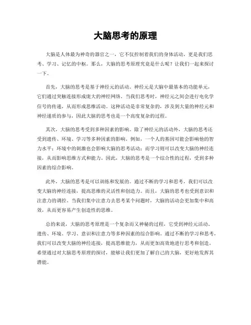 大脑思考的原理