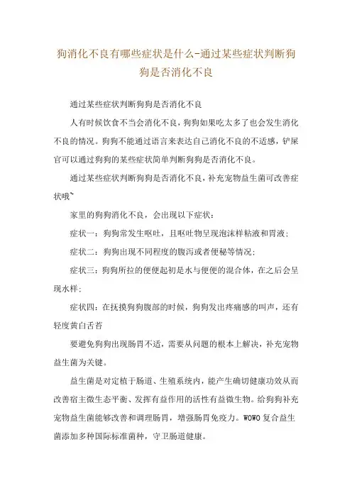 狗消化不良有哪些症状是什么-通过某些症状判断狗狗是否消化不良