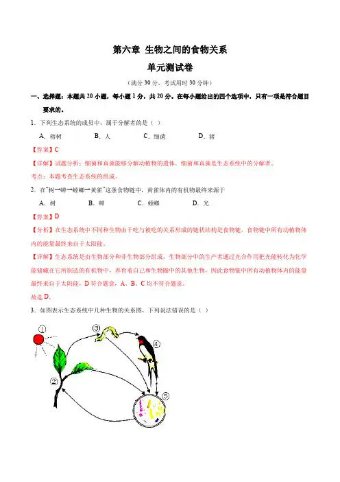 第六章生物之间的食物关系【单元测试卷】-2024-2025学年七年级生物上册单元速记·巧练(苏科版)