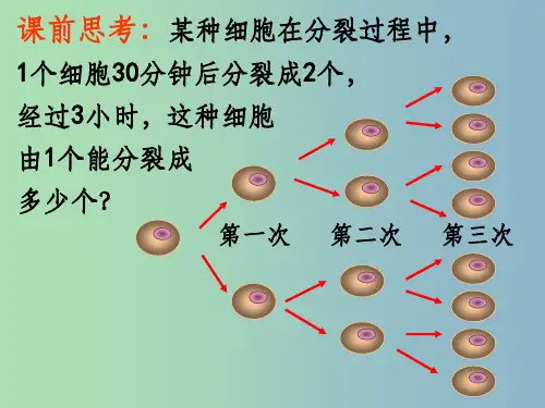 七年级数学上册 1.5 有理数的乘方 (新版)新人教版