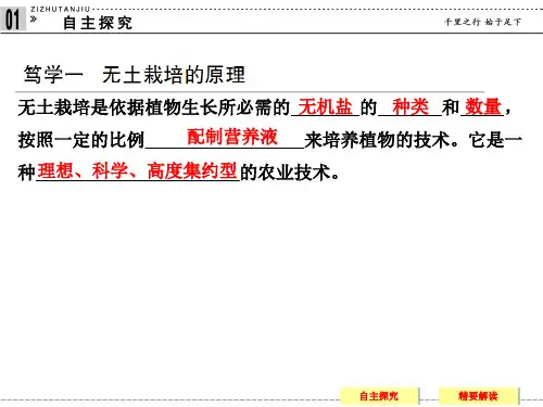 无土栽培技术ppt课件