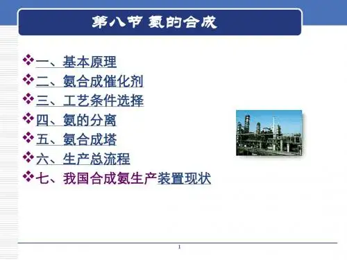 第二章(3)：氨的合成