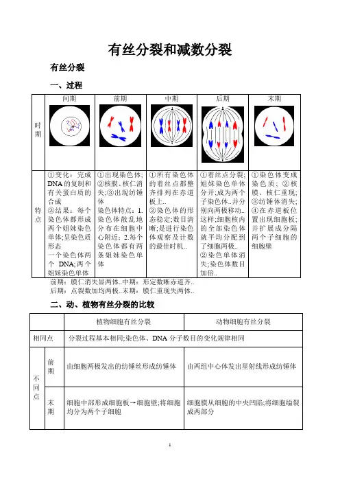 高中生物必修二有丝分裂_减数分裂总结知识点