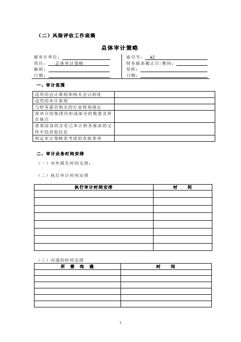 总体审计策略工作底稿