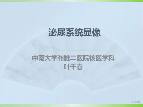 泌尿显像(1)