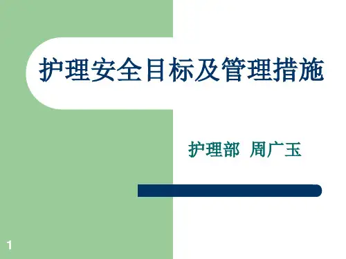 十大安全目标