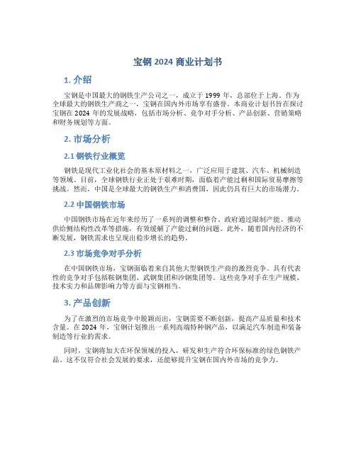 宝钢2024商业计划书