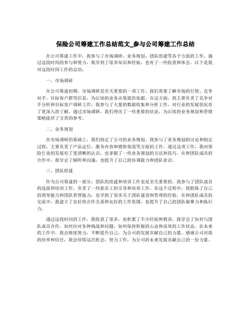 保险公司筹建工作总结范文_参与公司筹建工作总结