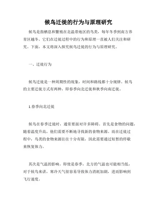 候鸟迁徙的行为与原理研究