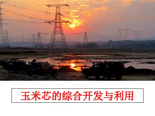 最新玉米芯的综合开发与利用ppt课件