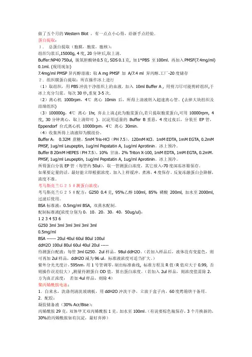 Western_Blot过程步骤详解