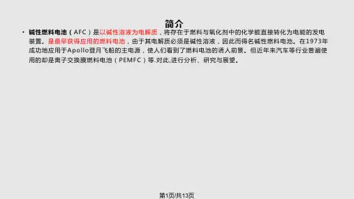 碱性燃料电池简介PPT课件
