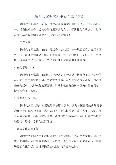 “新时代文明实践中心”工作情况