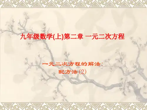 北师大版数学九上配方法2课件
