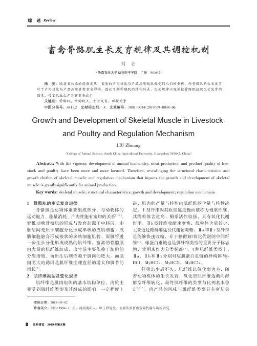 畜禽骨骼肌生长发育规律及其调控机制