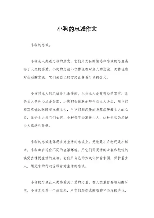 小狗的忠诚作文