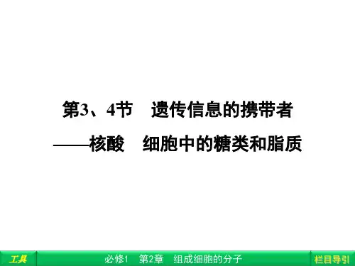 高中生物人教版必修一全套4PPT课件