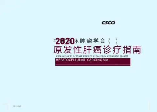 2020CSCO原发性肝癌诊疗指南