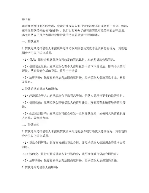 背债贷款的法律后果(3篇)