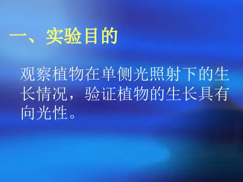 植物向光性实验