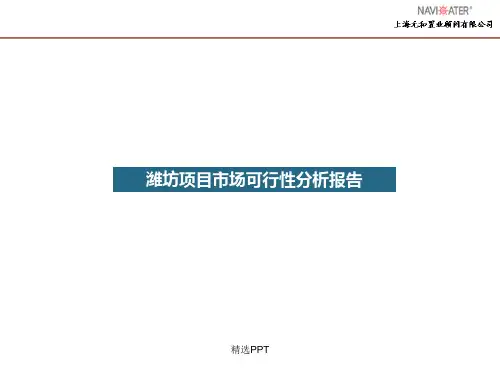 潍坊项目市场可行性分析报告