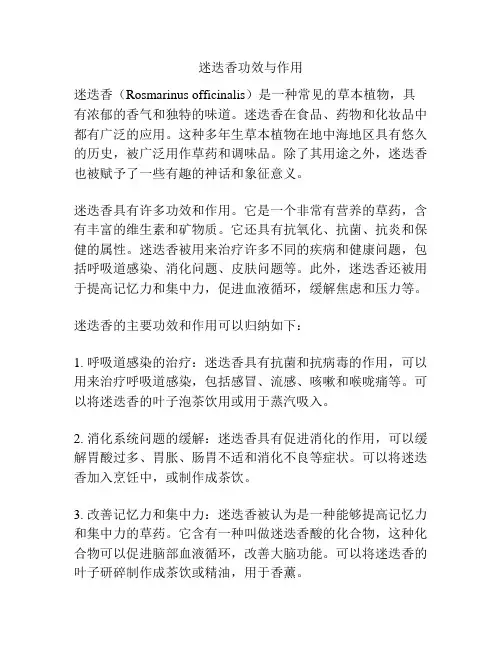 迷迭香功效与作用