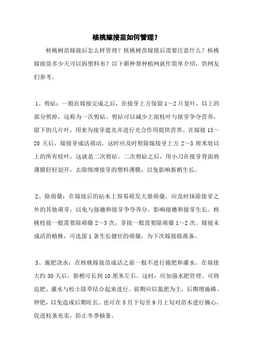 核桃嫁接苗如何管理？
