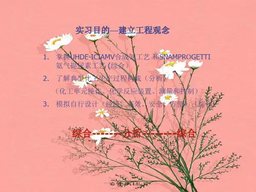 合成氨工艺PPT教学课件