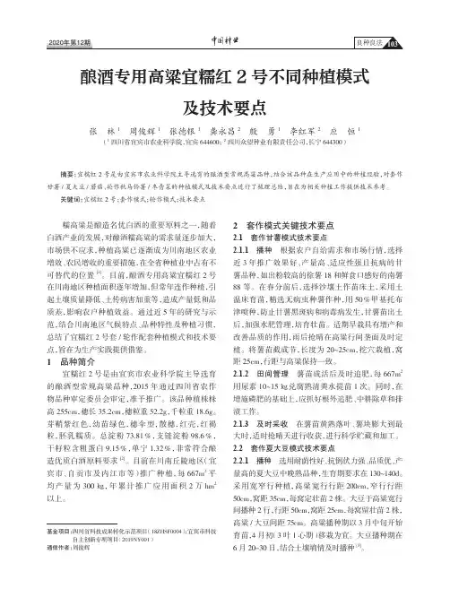 酿酒专用高粱宜糯红2号不同种植模式及技术要点