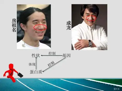 人教版教学课件基因指导蛋白质的合成(县级公开课,两课时。)