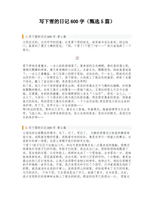 写下雪的日记600字(甄选5篇)