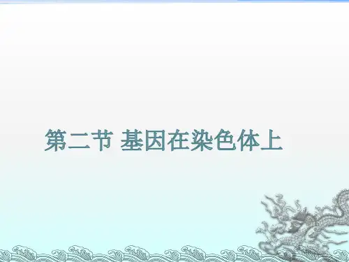 基因在染色体上人教版高中生物必修二教学课件