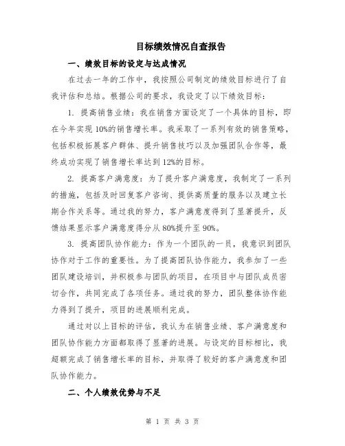 目标绩效情况自查报告