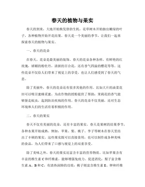 春天的植物与果实