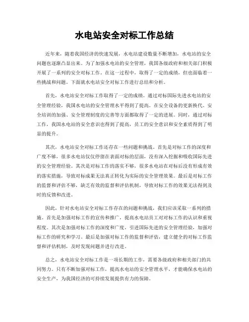 水电站安全对标工作总结