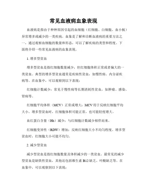 常见血液病血象表现
