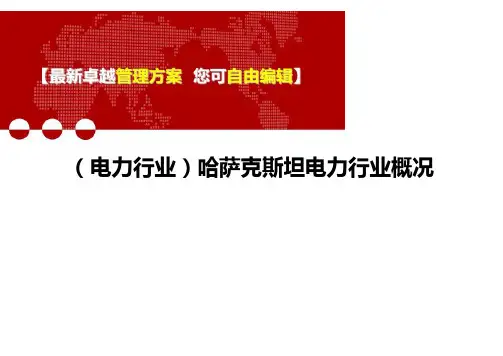 2020年(电力行业)哈萨克斯坦电力行业概况